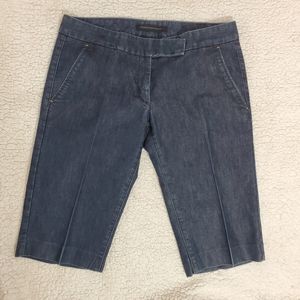 Express Design Studio Dark Denim Stretch Shorts